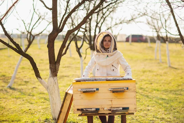 Mladá Včelařka pracuje s včely a včelami na včelaře, na jarním dnu — Stock fotografie