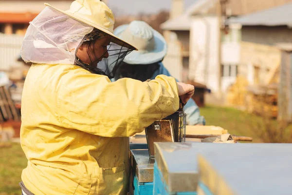 Familienimker. Imker inspizieren Bienenstock nach dem Winter — Stockfoto