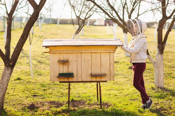 Een jonge imker meisje werkt met bijen en bijenkorven in de bijenstal — Stockfoto