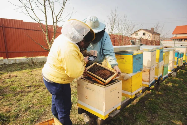 Familienimker. Imker inspizieren Bienenstock nach dem Winter — Stockfoto