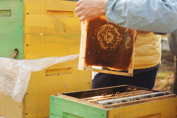 Bee hive detail. Beekeeper is working with bees and beehives on the apiary
