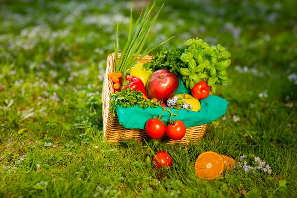 Прекрасная плетеная корзина с овощами и фруктами на фоне зеленой травы — стоковое фото