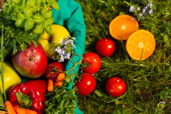 Légumes bio frais dans un panier en osier dans le jardin. Vue du dessus — Photo