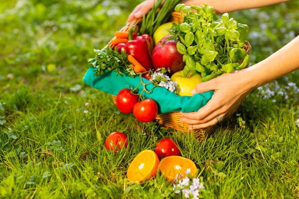 Mains féminines tenant un panier en osier avec légumes et fruits, gros plan — Photo