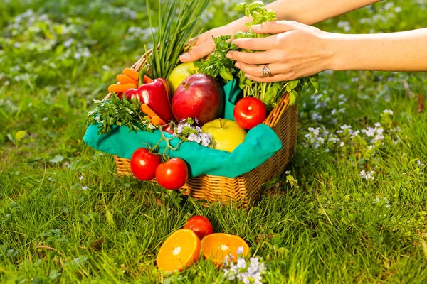 Manos femeninas sosteniendo cesta de mimbre con verduras y frutas, de cerca — Foto de Stock