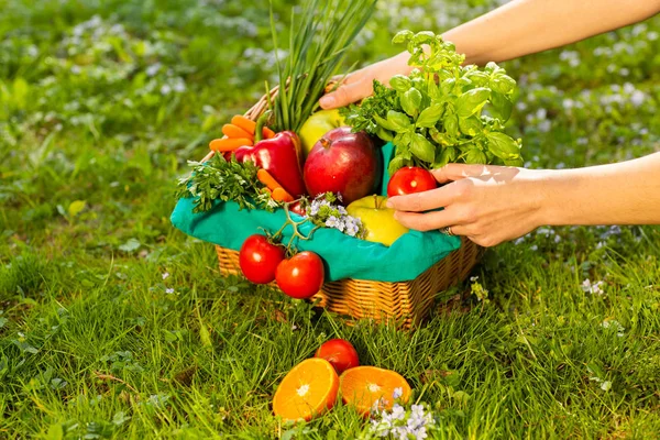 Kvinnliga händer innehar flätade korg med grönsaker och frukter, närbild — Stockfoto