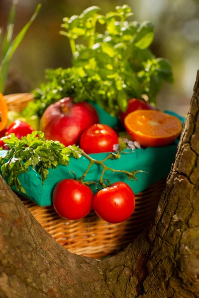 Verduras orgánicas frescas en canasta de mimbre en el jardín en un árbol — Foto de Stock