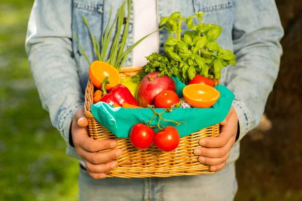 Cesta con verduras y frutas en manos de un agricultor de fondo de la naturaleza. Concepto de estilo de vida saludable — Foto de Stock