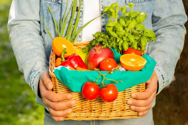 Panier avec des légumes et des fruits dans les mains d'un arrière-plan paysan de la nature. Concept de mode de vie sain — Photo