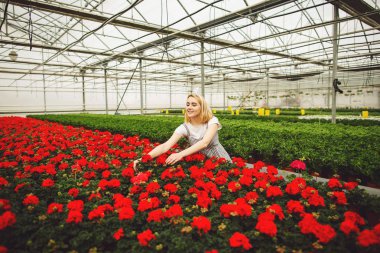 Güzel genç gülümseyen kız, serada çiçekli işçi. Serada konsept çalışması, çiçekler. Kopyalama alanı