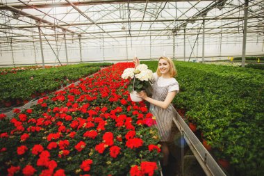 Güzel genç gülümseyen kız, serada çiçekli işçi. Serada konsept çalışması, çiçekler. Kopyalama alanı