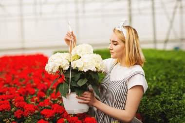 Güzel genç gülümseyen kız, serada çiçekli işçi. Serada konsept çalışması, çiçekler. Kopyalama alanı