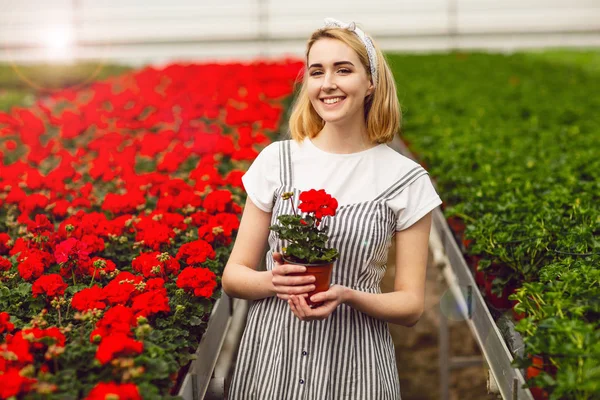 Güzel genç gülümseyen kız, serada çiçekli işçi. Serada konsept çalışması, çiçekler. Kopyalama alanı