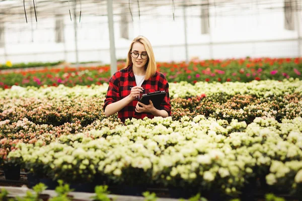 Young woman working in greenhouse. Attractive girl check and count flowers, using tablet computer