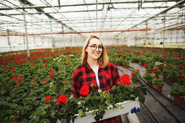 Serada saksı tutan kadın çiçekçi. Gardering kavramı