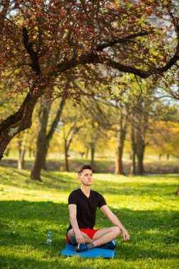 Genç bir adam rahatlar ve yeşil parkta yoga yapıyor. Sağlıklı bir yaşam tarzı kavramı