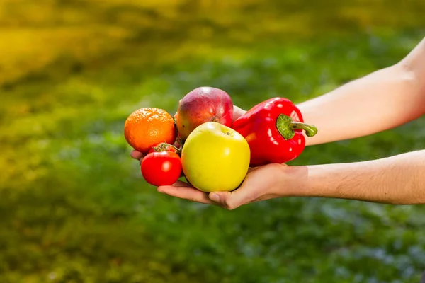 Gros plan des mains d'un agriculteur tenant des fruits et légumes sur fond de verts flous — Photo