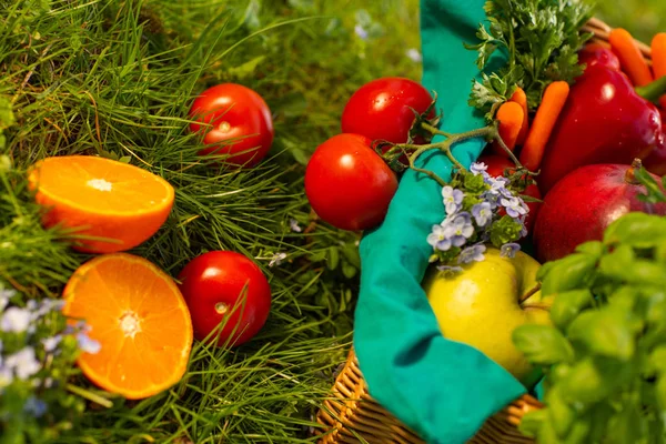 Légumes bio frais dans un panier en osier dans le jardin — Photo