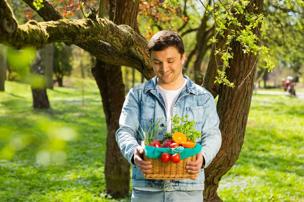 Keranjang dengan sayuran dan buah-buahan di tangan seorang petani latar belakang alam. Konsep dari gaya hidup sehat — Stok Foto