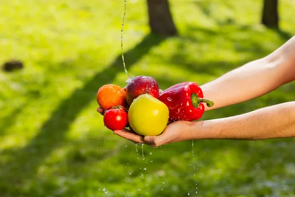 Primer plano de las manos de un agricultor sosteniendo frutas y verduras en el fondo de verduras borrosas — Foto de Stock