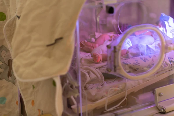 Det för tidigt födda barnet i en inkubator på neonatal sektionen av moderskaps Royaltyfria Stockfoton