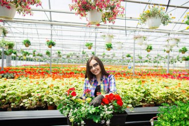 Gözlüklü güzel genç gülümseyen kız, serada çiçekli işçi. Serada konsept çalışması. Kopyalama alanı