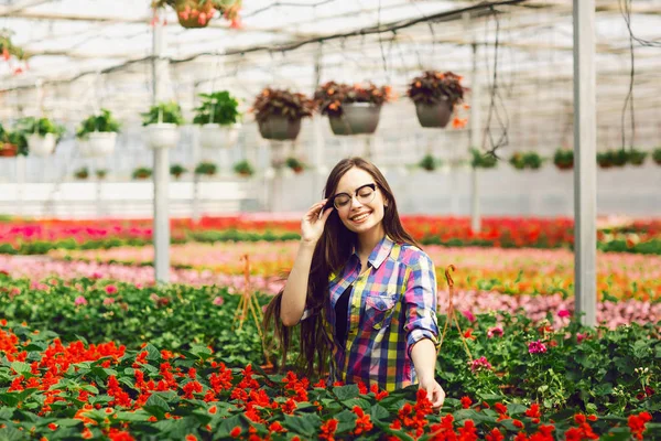 Seorang gadis muda memakai kacamata peduli untuk bunga Salvia di rumah kaca — Stok Foto