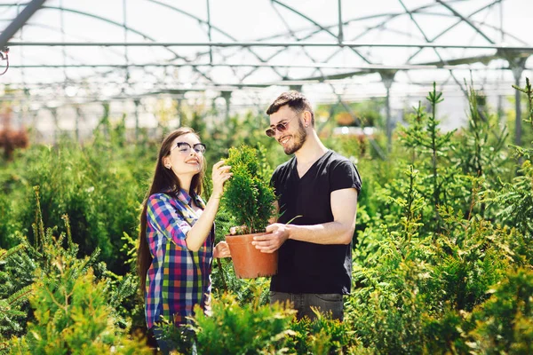 Young couple standing together, holding a pot with a small fir tree and looking at a plant in the garden center Stock Photo