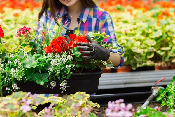 Närbild av en vacker leende flicka, en arbetstagare med blommor i växthuset. Koncept arbete i växthuset Stockbild
