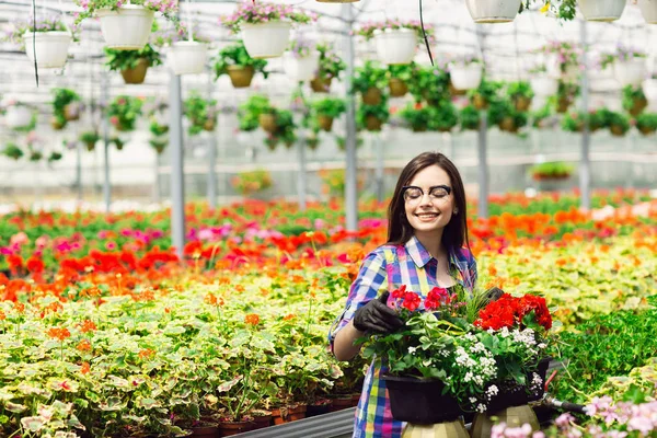 Beautiful young smiling girl in glasses, worker with flowers in greenhouse. Concept work in the greenhouse. Copy space Royalty Free Stock Photos