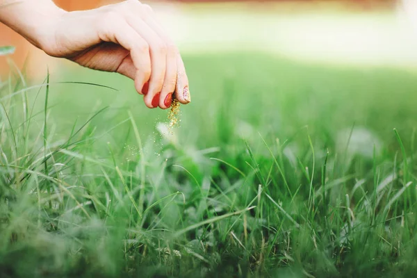 Quemando malas hierbas en la hierba. Acercamiento de la mano de la mujer, se encarga del césped. Espacio para texto — Foto de Stock