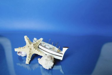 Mavi arka plan üzerinde kabukları ile beyaz küçük oyuncak gemi