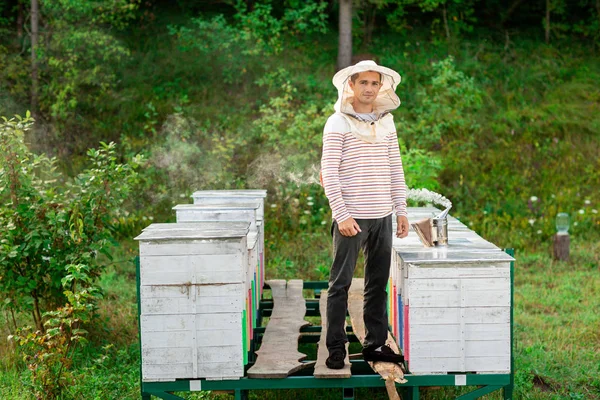 Penjaga lebah dengan penutup pelindung berdiri di antara sarang-sarang, pada bingkai logam yang ditutupi dengan papan. Di sarang, alat untuk merokok lebah — Stok Foto