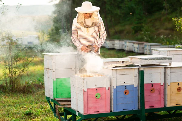 Ein Imker raucht Bienen, während er Honig in hölzernen Bienenstöcken sammelt. Werkzeug der Imkerei — Stockfoto