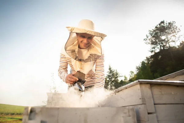 Peternak lebah merokok lebah dalam proses mengumpulkan madu di sarang lebah berwarna kayu. Alat pemeliharaan lebah — Stok Foto