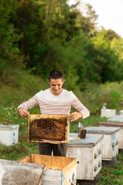 Peternak lebah memegang sarang lebah penuh lebah di dekat sarang lebah. Seorang pria memeriksa sarang lebah. Konsep peternakan lebah — Stok Foto