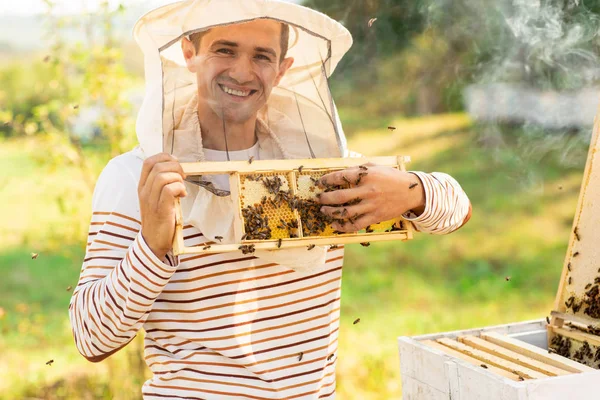 Méhész, aki méhekkel teli lépet tart a méhkaptárak közelében. Egy férfi ellenőrzi a méhsejteket. Méhészeti koncepció — Stock Fotó