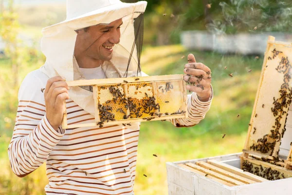 Apicultor sosteniendo un panal lleno de abejas cerca de las colmenas. Un hombre revisa el panal. Concepto apícola —  Fotos de Stock