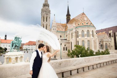 Budapeşte, Macaristan Fisherman's Bastion tarafından öpüşen yeni evligenç güzel şık çifti