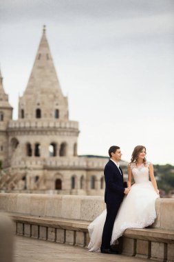 Budapeşte, Macaristan Fisherman's Bastion tarafından oturan yeni evligenç güzel şık çifti