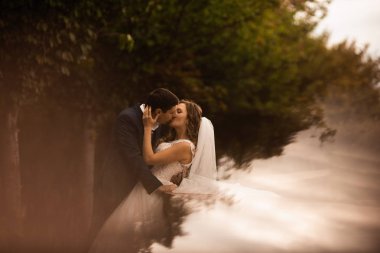 Parkta gelin ve damadın düğün fotoğrafı. Parkta romantik sahne