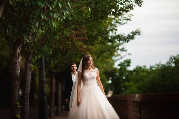 Newlyweds walking in the park. Happy luxury wedding couple walking and smiling among trees — Stock Photo, Image