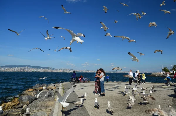 Buyukada ada, Istanbul, Türkiye-10 Mayıs 2018: sahil birçok martılar ile insanlarda. Thems ile fotoğraf yapma. Buyukada gökyüzünde birçok martılar Marmara Denizi üzerinde Prens Adaları biridir.