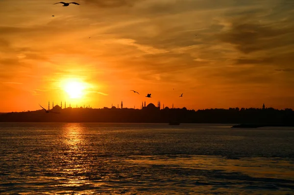 Pôr Sol Istambul Turquia Vista Mar Mármara Gaivotas Céu Histórico — Fotografia de Stock