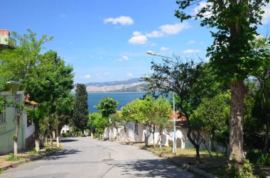 Her zamanki Caddesi Prens Adaları (Buyukada) görünümüne. Güzel mavi gökyüzü beyaz bulutlar, yeşil ağaçlar, evler ve deniz ile. Yerel cennet. Türkiye