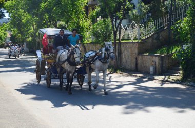 Buyukada, Istanbul, Türkiye - 12 Mayıs 2018: geleneksel antrenörler insanlar taşıyor. Koç atları ve coachmans Prens Adaları Buyukada, Istanbul, Türkiye. Arabalar adada izin verilmez