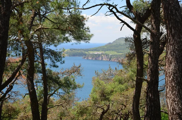 View to the sea of Marmura from the Pine forest. Focus on the sea. The Prince Islands (Buyukada)