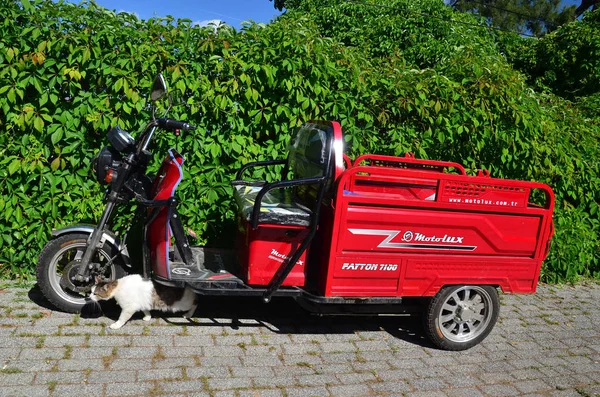 Buyukada Istanbul Türkei Mai 2018 Motolux Transport Buyukada Prinzeninseln Und — Stockfoto