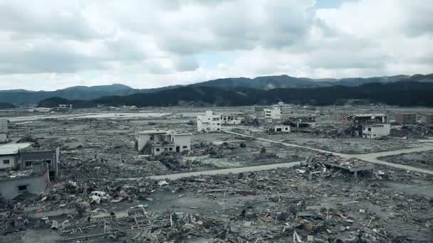 Japonia Tsunami 2011 Fukushima — Wideo stockowe