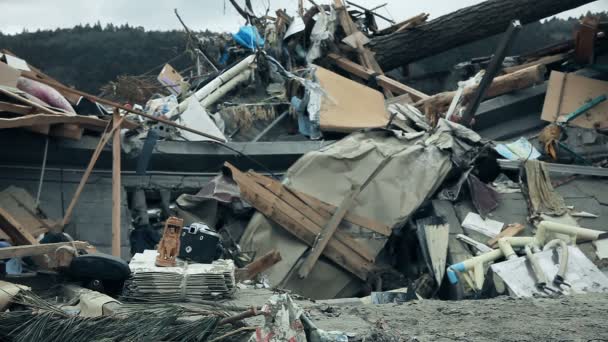日本海啸 2011 — 图库视频影像